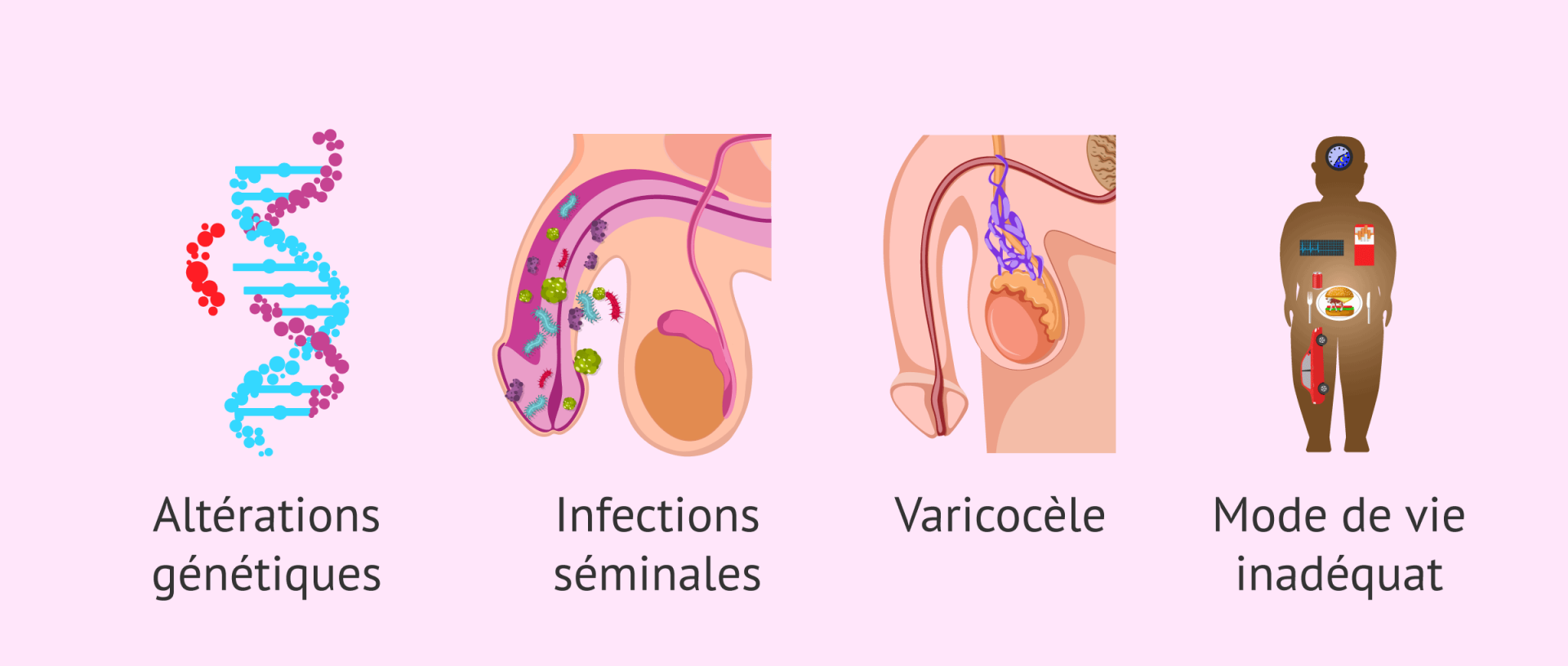 Teratospermie facteurs de risque