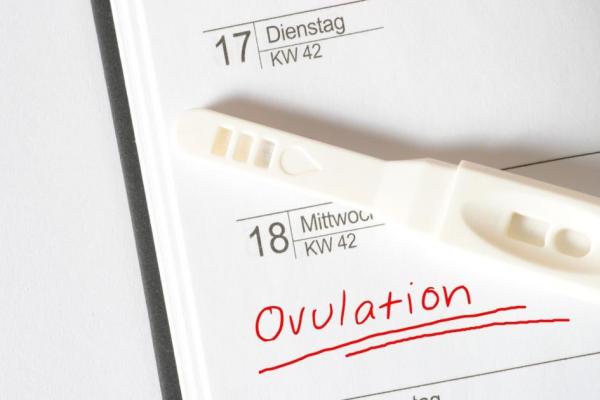Test d ovulation