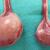 TESTICULAR ATROPHY: HOW TO RECOGNIZE AND TREAT IT NATURALLY