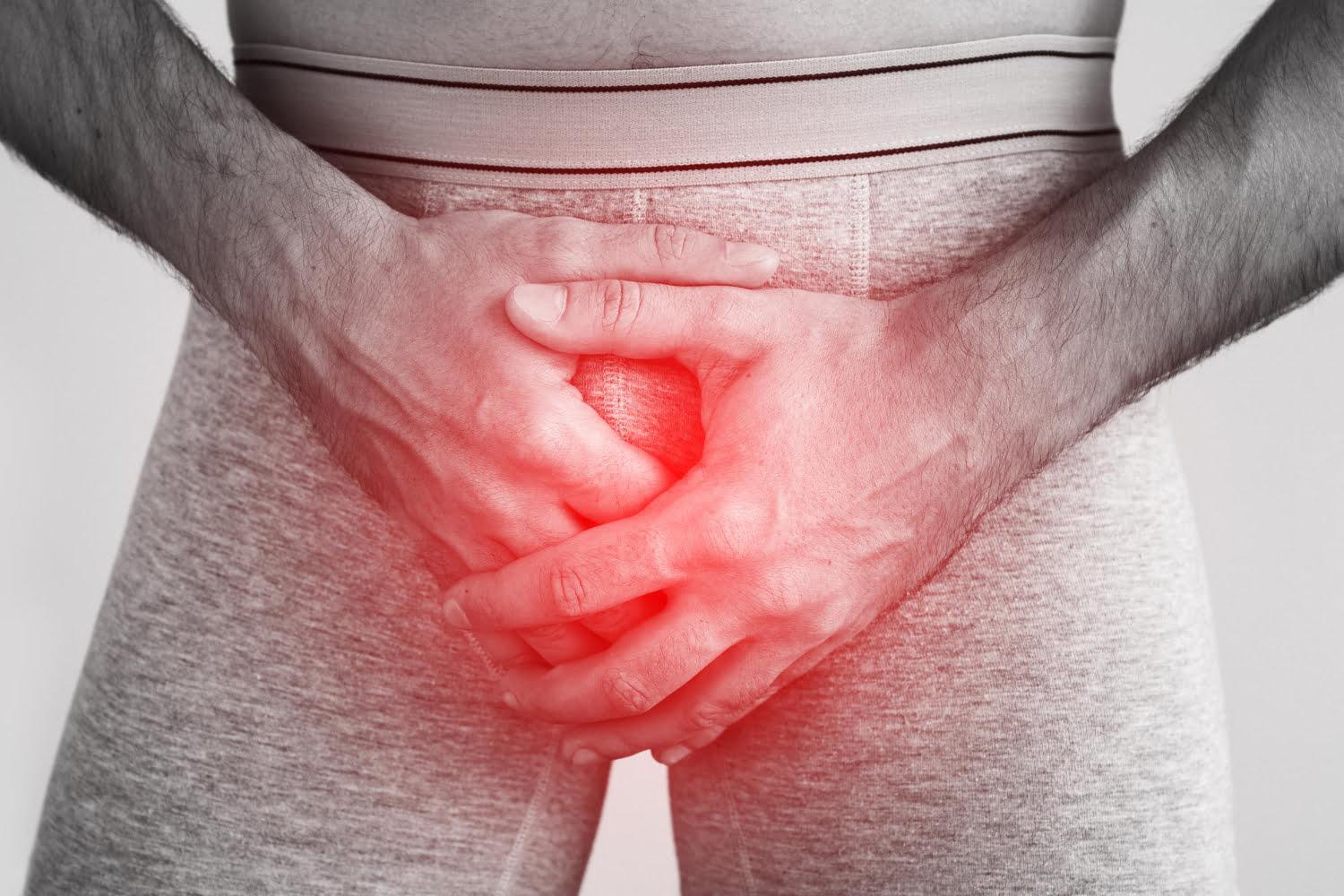 Testicules