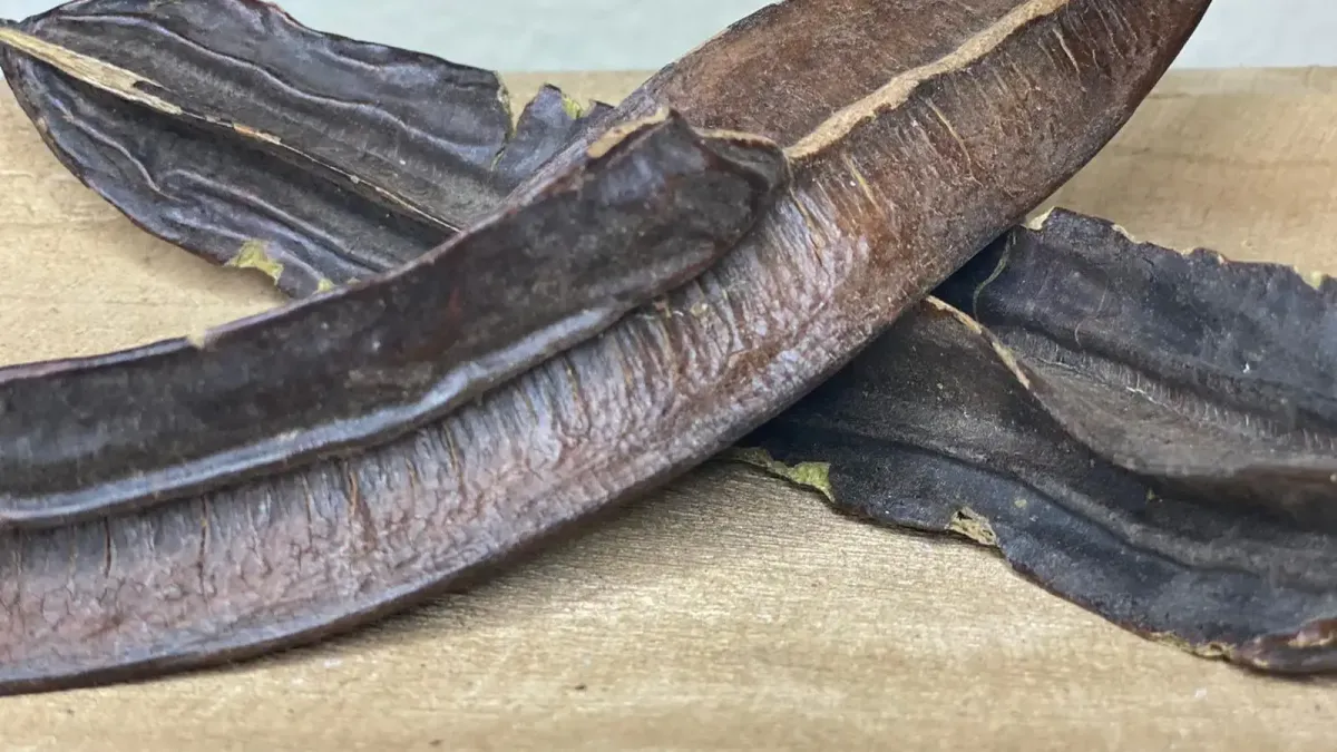 Comment utiliser le fruit à 4 côtés (Tetrapleura tetraptera) pour soigner les kystes ovariens