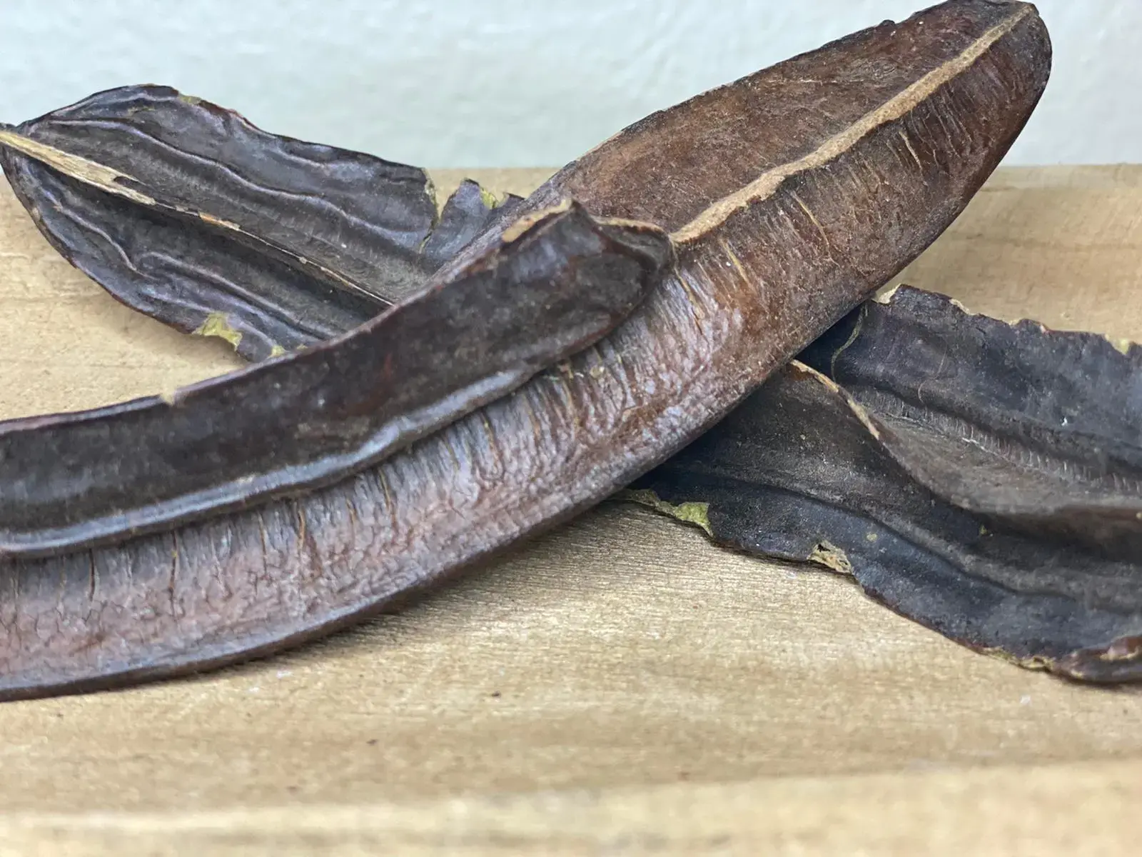 Tetrapleura tetraptera fruit a quatre cotes