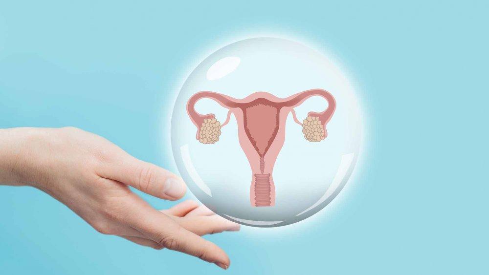 Tratamiento de la disfuncion ovarica con remedios a base de hierbas 