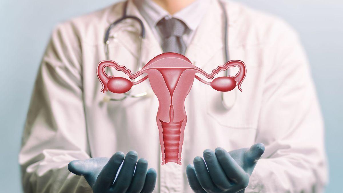 Uterus 2