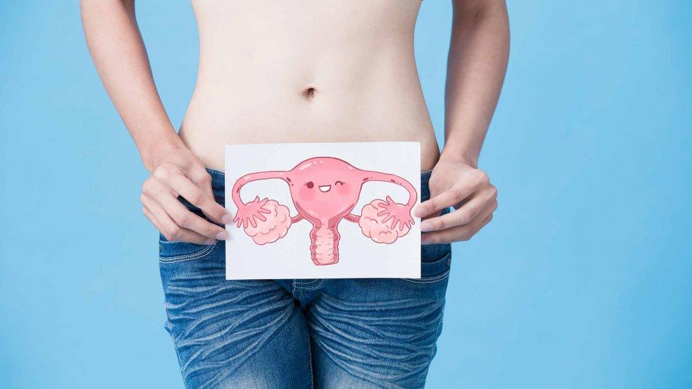 Plantes et racines pour guérir les kystes ovariens