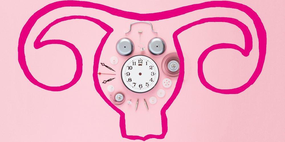 Uterus menopause precoce