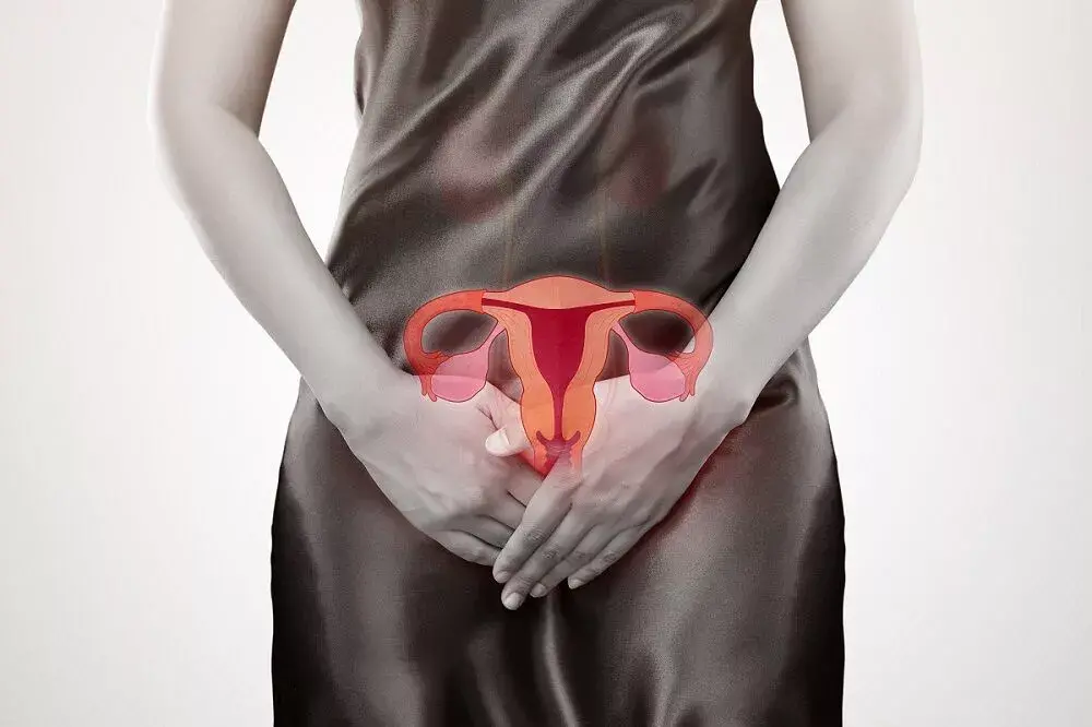 Uterus1