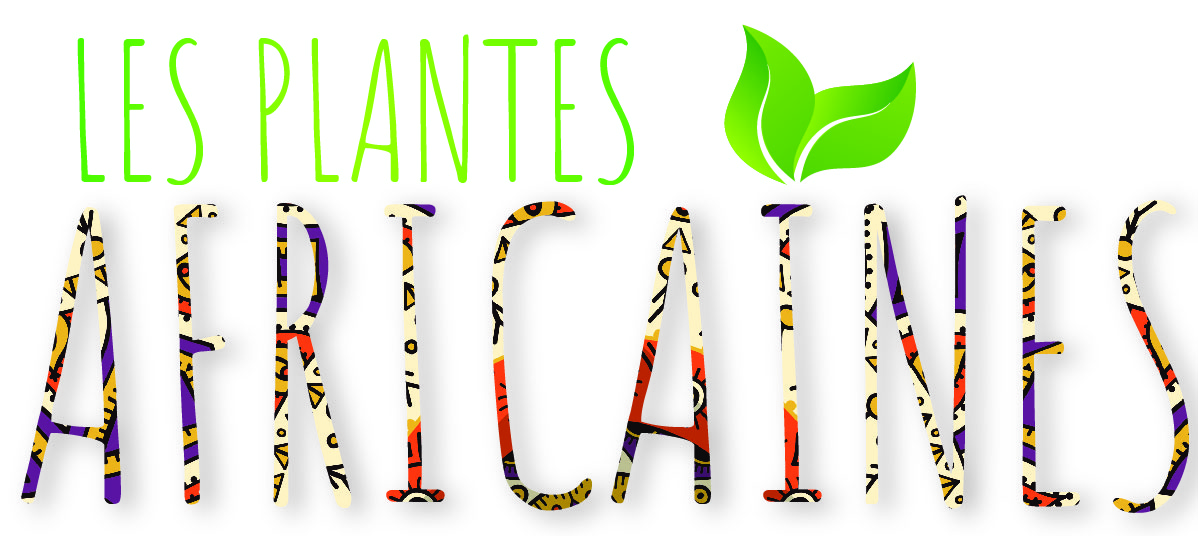 Curar con plantas africanas